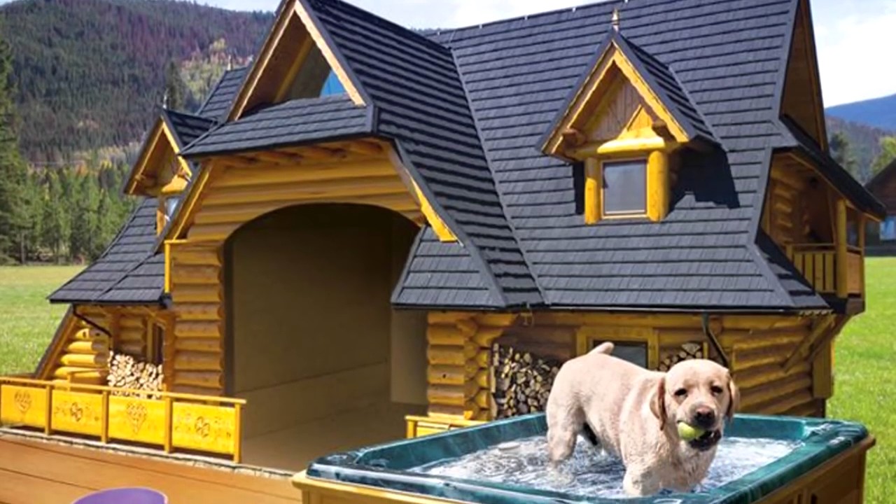 Have you created the ultimate luxury home for your pet?